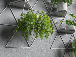 Modular shelf with plants.